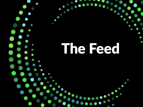 The Feed